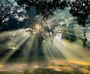 ただの片想いで終わりたくない。魂の距離を霊視します 夜になると苦しくなる恋へ。あの人の本音と未来の流れを鑑定 イメージ2