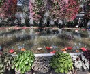 ハイクオリティな写真を提供します 代行、写真撮影、iPhone一台で完結させます イメージ2