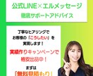 エルメ導入・構築の「分からない」を超速で解決します 分からないで止まってる時間を一緒に解決して成果に繋げます！ イメージ1