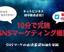 SNSマーケティングの基礎事項を提供します 10分で完読SNSマーケティング概論 イメージ1