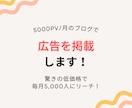 5000PV/月のブログにバナー広告を掲載します 毎月5,000人にリーチ！あなたのビジネスを加速させます イメージ1