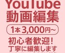 初心者歓迎！YouTube動画を丁寧に編集します 初心者向け価格！丁寧な対応と低価格でお答えします！ イメージ1