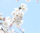 登山写真や自然の写真を代わりに写真を撮りに行きます ／貴方が行けない場所に代わりに行きます イメージ2