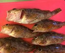 釣り歴7年が海の釣テク教えます 海釣り初心者の方にボウズにならない必釣法を教えます！ イメージ3