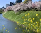 居場所みつけます 『あなたの精神安定剤になります』 イメージ2