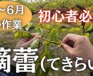 YouTubeのサムネ制作します 【実績あり】初心者向けYouTubeサムネをCanvaで制作 イメージ2