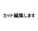 動画編集のカット作業を代行します 動画のカット編集を3000円で承ります！！ イメージ1