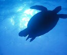 5分からでもOK、心の隙間お埋めします 初めまして、喪黒福造では、ありません（笑） イメージ2