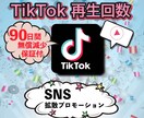 TikTokの再生回数拡散して10000増やします 【保証付】TikTok/再生回数/世界中拡散 イメージ1