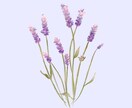 エレガントで可愛い雰囲気の花イラストを描きます お好きな花、誕生花、メッセージ付きでギフトにもおすすめ！ イメージ5