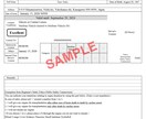 戸籍謄本の翻訳3,800円から行います 最短当日納品も可能です！戸籍をスマホで撮影して送るだけ！ イメージ4