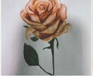 みなさんの素敵なSNSのトプ画など描きます 綺麗な水彩画を描いたり、運気が上がるアイテムの絵を描きます。 イメージ1