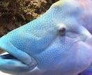あなたの性格ズバリお伝えします 私ってどんな性格？気になる自分の知らない一面をお伝えします！ イメージ3