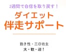 ダイエットで綺麗・理想の自分に★2週間伴走します 飽き性、3日坊主、継続苦手大歓迎！習慣を作りモチベ維持♥ イメージ2