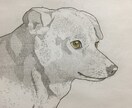 簡単な動物のイラストを描きます 絵の中の生き物に命が宿っていると感じてもらえるように イメージ1