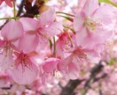 心の相談室・エネルギー差し上げます 【人気】心を楽に。不安を安心に。毎日が幸せでありますように。 イメージ1