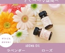 パッと目を引く！WEB画像制作いたします 低価格で依頼主様に寄り添ったデザインを.... イメージ6