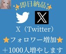 Xフォロワー1000人増やします 【即日納品】【安価】【減少補償付き】 イメージ1