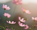 子宝鑑定を霊感霊視で占います お子様とのご縁、授かり時期など霊視します イメージ6