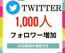Twitterフォロワー1000人増やします twitter投稿頑張ってるのにフォロワーが伸びないあなたへ イメージ1