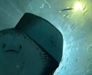 色んな写真、画像承ります 撮影でも代行でも今まで撮った写真でも何でも提供！ イメージ8