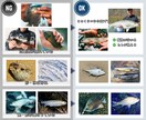 デジタル魚拓：リアル/墨/カラー/水彩から選べます 手刷り魚拓のような風合いで、一味違うデザインをお求めの方へ イメージ10
