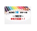 色彩検定1級2次合格のお手伝いをいたします 単語帳にできる【慣用色名⇔PCCS】など本当に必要な情報を！ イメージ2