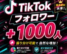 TikTokのフォロワー1000人拡散します 【８月限定最安値】衝撃のコスパで減少保証付き！ イメージ10
