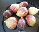 あなたに合ったリバウンドを防ぐダイエットを考えます リバウンドしにくいダイエット法は食事から少しづつ改善へ!! イメージ1