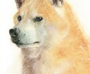 ふんわりやさしい水彩画でペットの似顔絵を描きます ｜インテリアやプレゼントに ｜犬・猫・小動物や鳥さんもOK♪ イメージ9