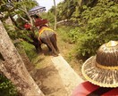 東南アジア旅行の相談にのります 卒業旅行・バックパッカー希望の方へ イメージ3