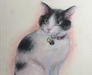 油彩にて可愛い動物の絵を描きます ワンちゃんや猫ちゃんなど、あなたの大好き♡を形にします！ イメージ2