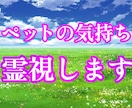 現役霊媒師❂大山晴明がペットの気持ちを霊視します ◆現役霊媒師による霊視鑑定でペットの気持ちを読み取ります。 イメージ1