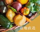 惹きつけるWEB画像デザインします おしゃれで目を引くバナー・ヘッダー画像作成いたします！ イメージ3