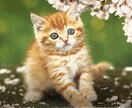 人生いろいろ〜♪ありますよね！！！話聞きます 愚痴★悩み★相談事など、なんでも聞きます！！！ イメージ4