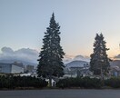日常の何気ない写真まで提供します 心に残る北海道の写真です、ご覧いただけたら幸いです。 イメージ4