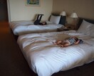 大人も楽しむ！乳幼児連れ国内旅行のプラン立てます 4歳0歳のママだから、実際に子連れ旅行してるからできる！ イメージ9