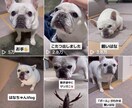 TikTokで商品PRします フォロワー3万人突破！最低2万～3万回再生可能なアカウント！ イメージ1