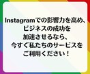 フォロワー増やします（Instagram）ます インスタのフォロワーを簡単に増加！ イメージ10