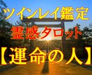 ツインレイ霊感タロット【運命の人】霊感霊視占います ★ツインレイ鑑定★恋愛★人間関係★統合★お悩み相談★短時間 イメージ1