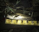 釣り場教えます 海釣り、川釣のポイント、各種魚類別 イメージ7