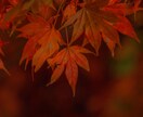 人間関係で悩むあなたの相談のります なかなか人に言えない悩みのあるあなたのご相談に乗ります イメージ2