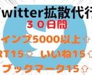 Twitter30日間毎日インプ5000増加します インプ5000+RT15+いいね15+ブックマーク15に拡散 イメージ1