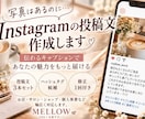 Instagramの投稿文を作成します 写真はあるけど文章が浮かばない方へ、伝わる投稿文をご提案 イメージ1