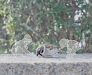 あなたの写真に絵を添えて、心温まる作品にします 思い出の写真を心温まる作品に、贈り物や待ち受け画像にも イメージ3