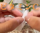 SNS用動画撮影･編集いたします ストーリーやリールで使える動画撮影･編集いたします♪ イメージ5