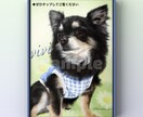 手描きデジタルで世界に一つの犬猫似顔絵を制作します 思い出の写真をデジタルタッチで可愛いわんにゃん似顔絵に♡ イメージ9
