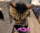 おとぎ話の作り方伝授と読み聞かせします おとぎ話の作成のコツ☘️読み聞かせのテクニックやアドバイス イメージ13