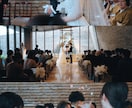 金曜ロードショー風のオープニングムービー作成します 他の結婚式と差をつけるオリジナルムービー イメージ5