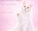 ペットの波動をやさしいエネルギーで整えます ペットの健康維持をサポートします イメージ1
